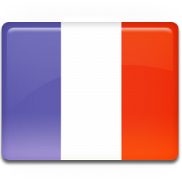 France Flag Icon